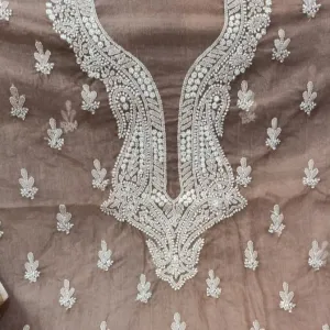 Light Brown Organza Chinkari Salwar Kameez fabric