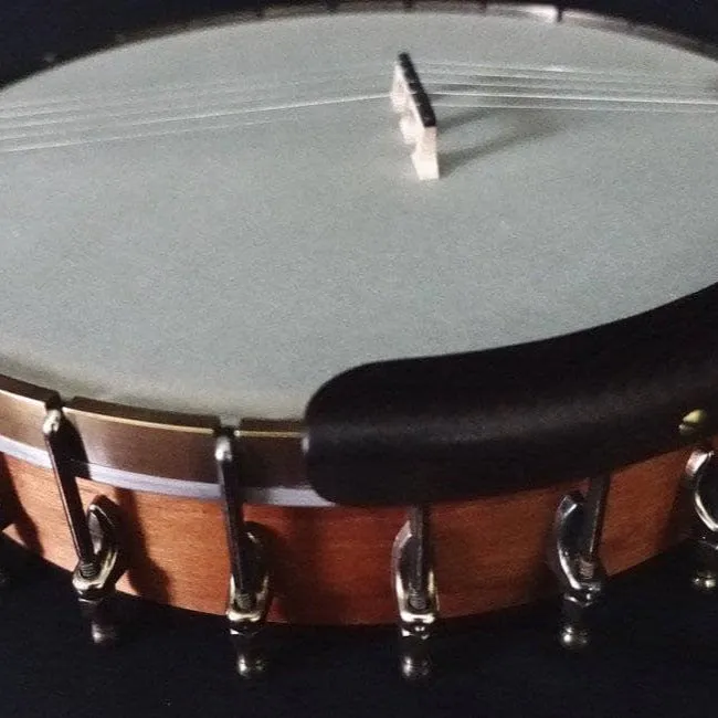 Ome Otis Taylor 5 String Openback Banjo