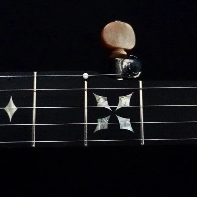 Ome Otis Taylor 5 String Openback Banjo