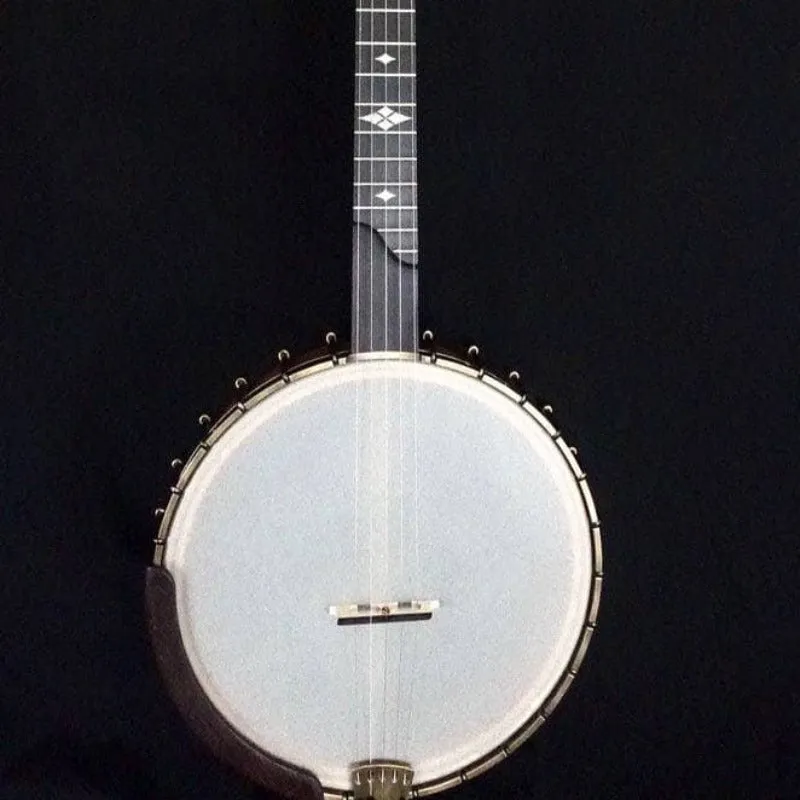Ome Otis Taylor 5 String Openback Banjo
