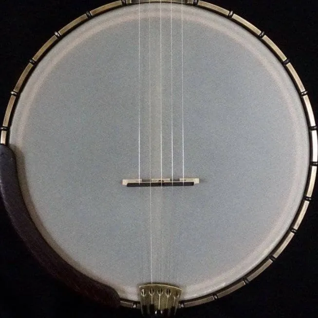 Ome Otis Taylor 5 String Openback Banjo