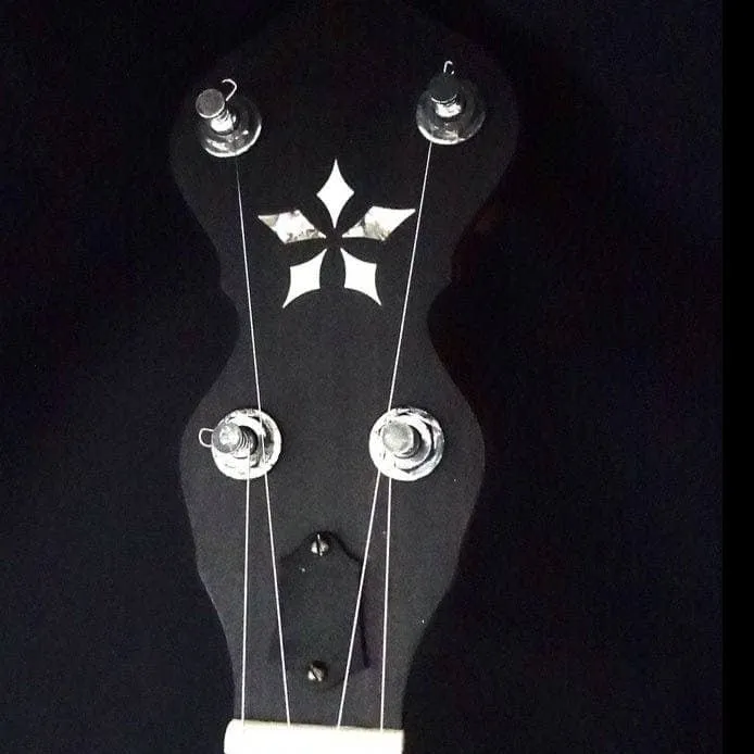 Ome Otis Taylor 5 String Openback Banjo