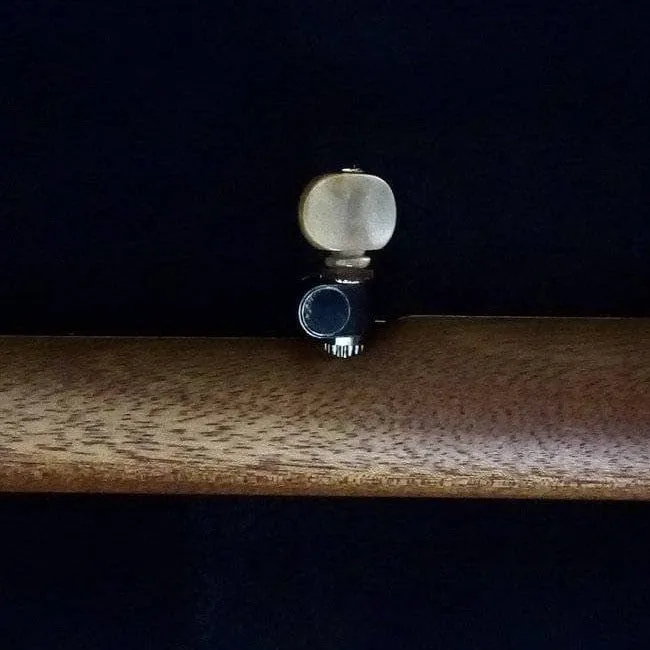 Ome Otis Taylor 5 String Openback Banjo