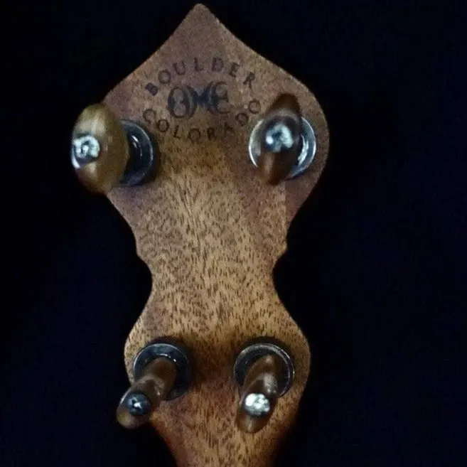 Ome Otis Taylor 5 String Openback Banjo