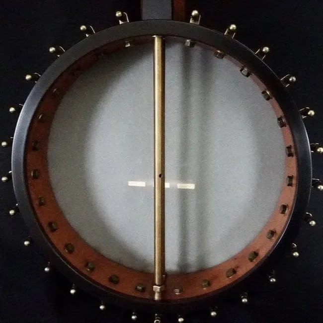 Ome Otis Taylor 5 String Openback Banjo