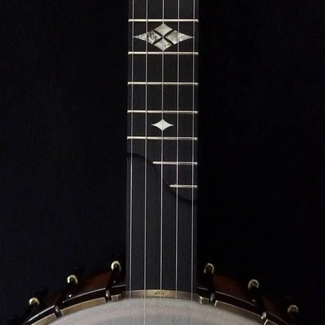 Ome Otis Taylor 5 String Openback Banjo