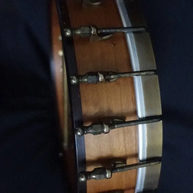 Ome Otis Taylor 5 String Openback Banjo
