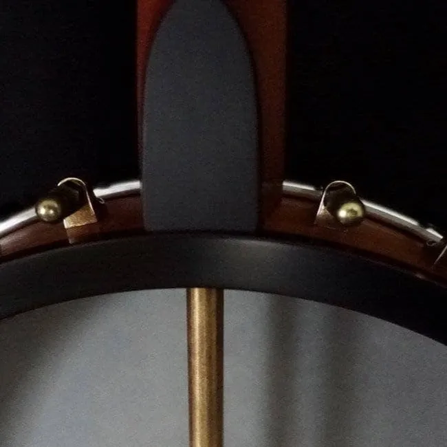 Ome Otis Taylor 5 String Openback Banjo