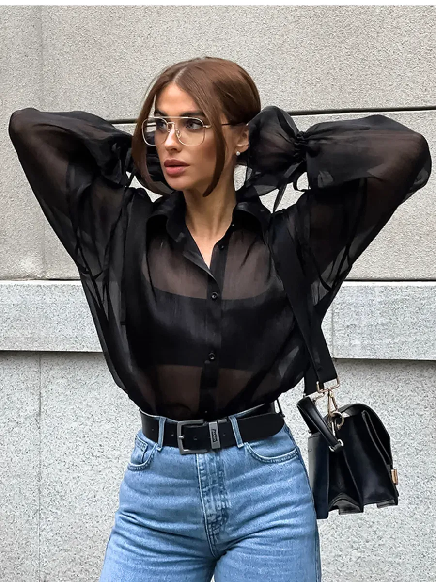 Tease Me Twice Sheer Long Sleeve Button-Up Blouse