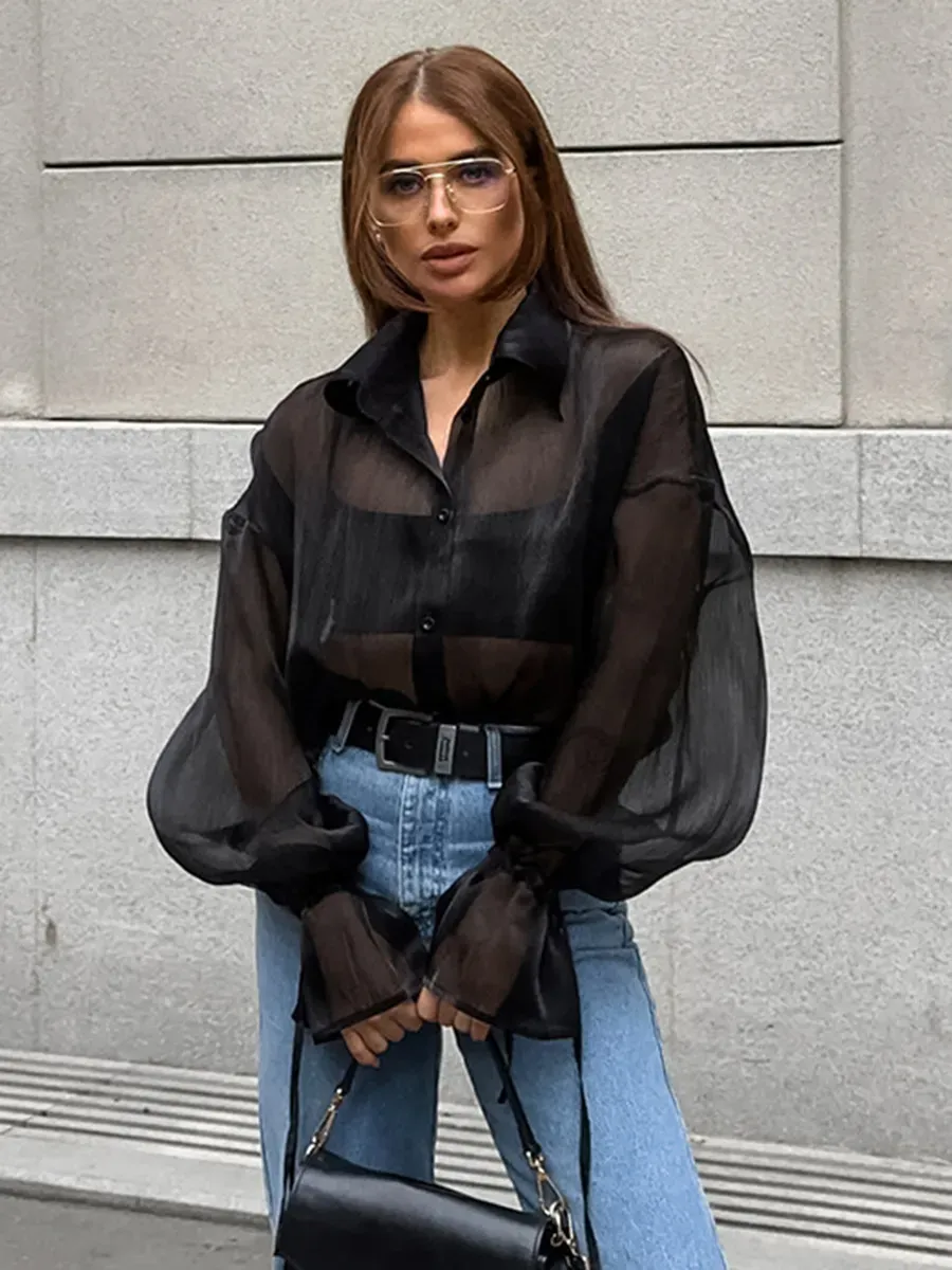 Tease Me Twice Sheer Long Sleeve Button-Up Blouse