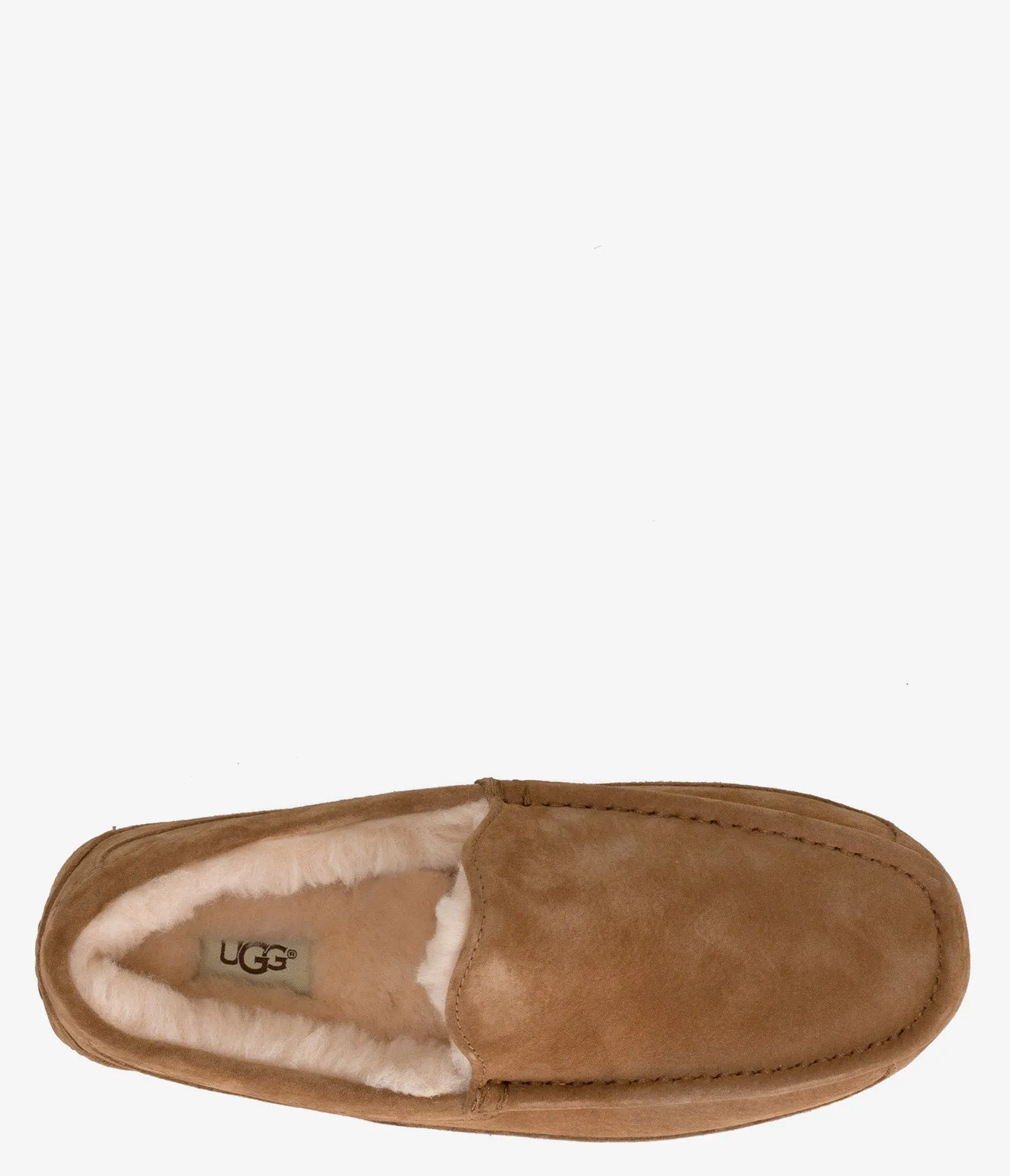 UGG Ascot Slipper - Men