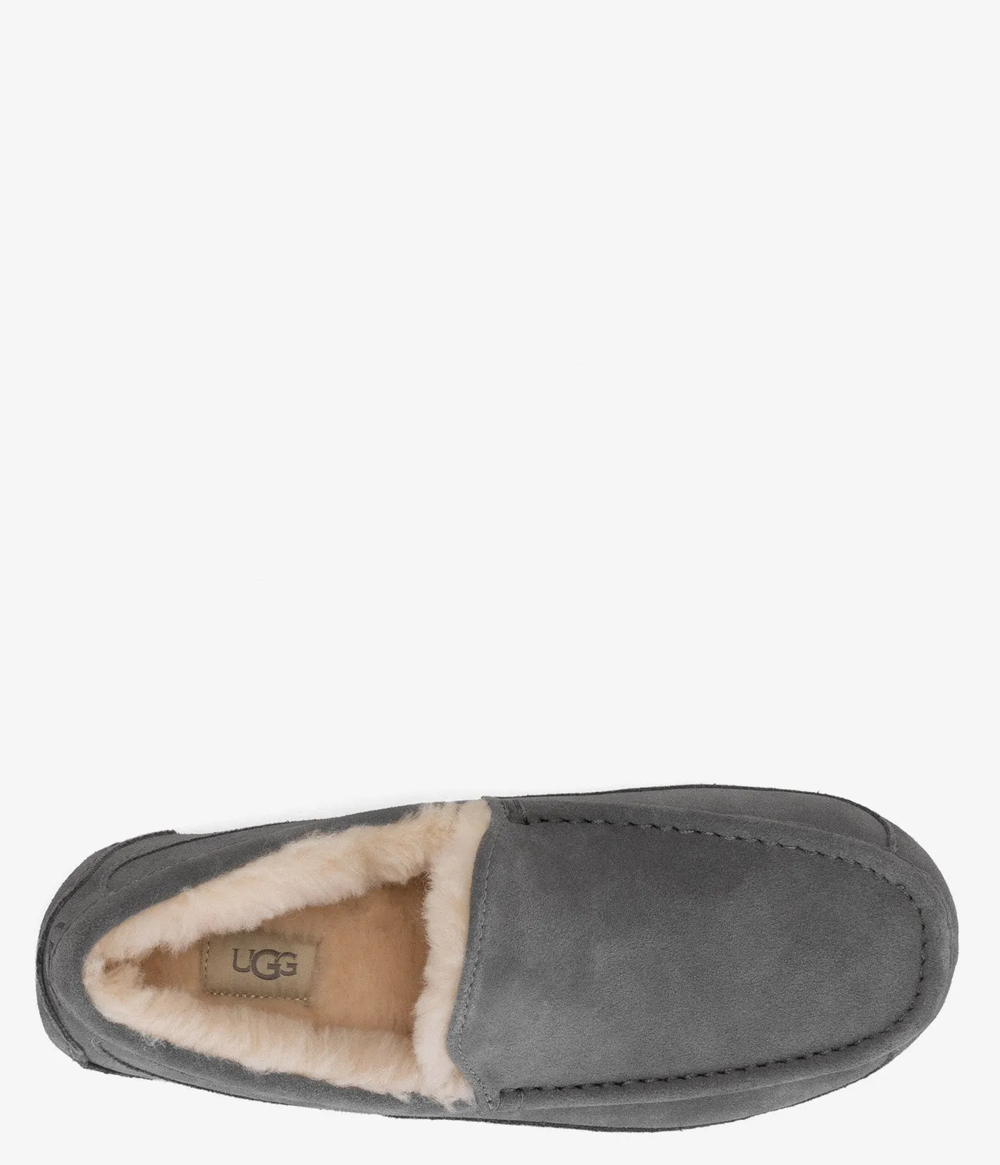 UGG Ascot Slipper - Men