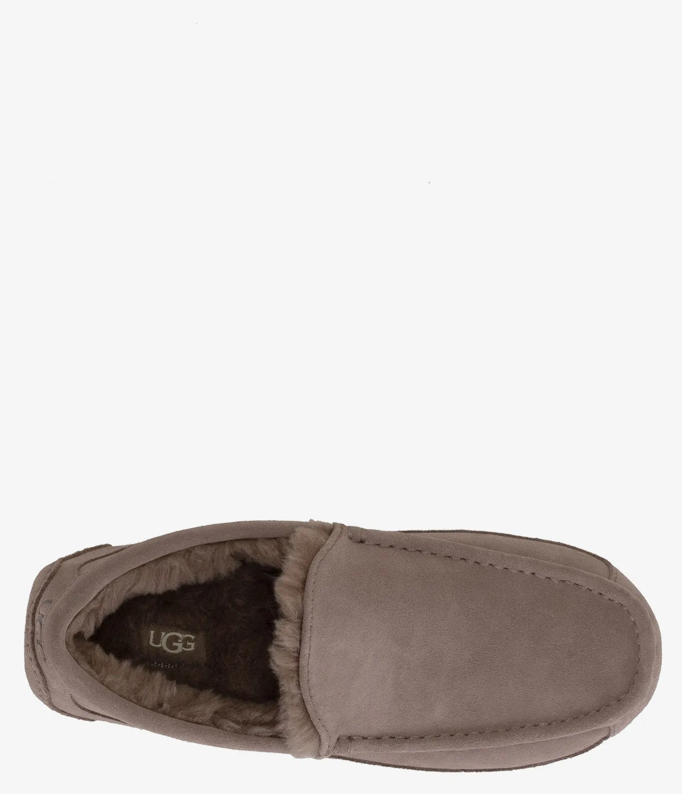 UGG Ascot Slipper - Men