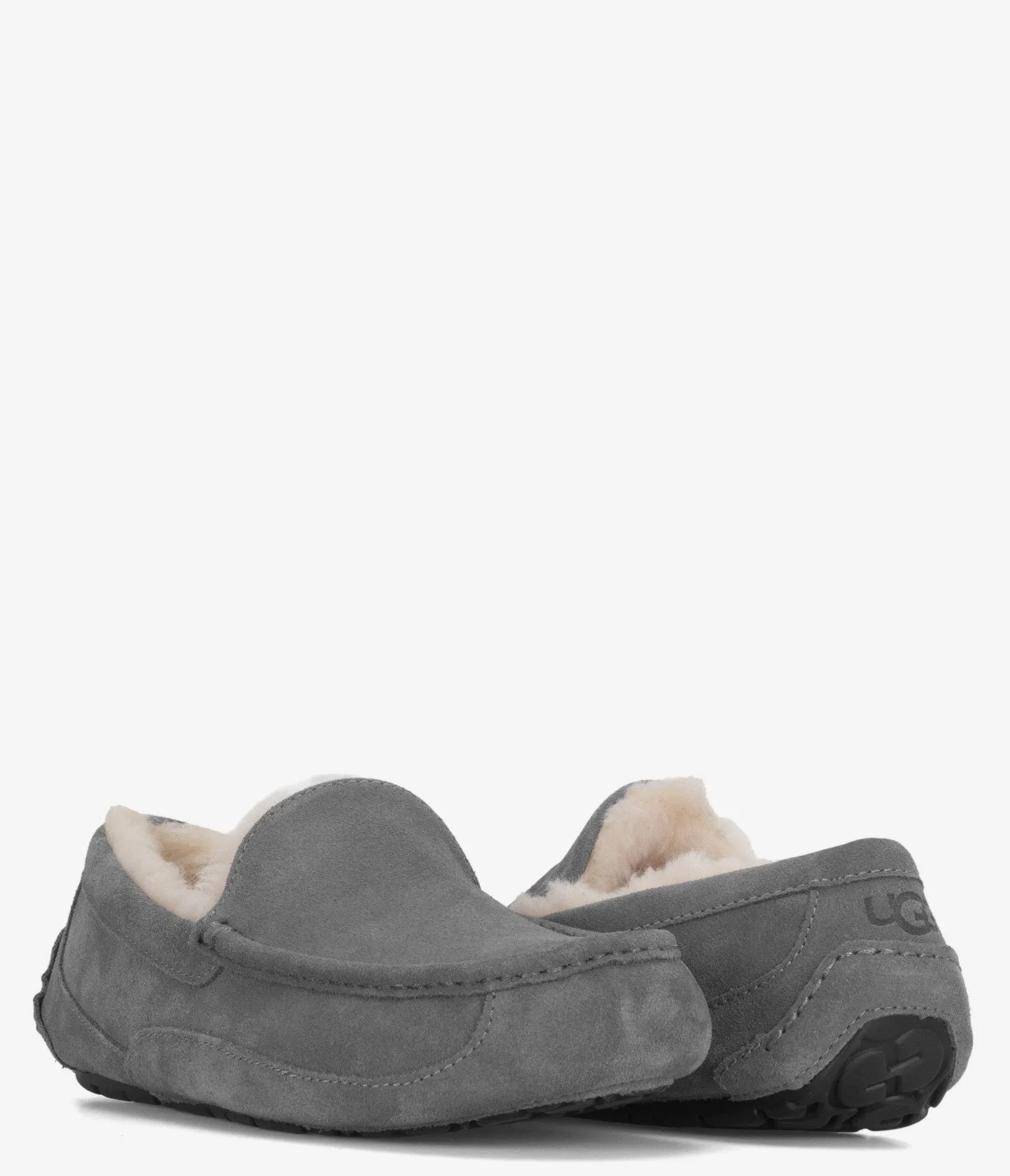 UGG Ascot Slipper - Men