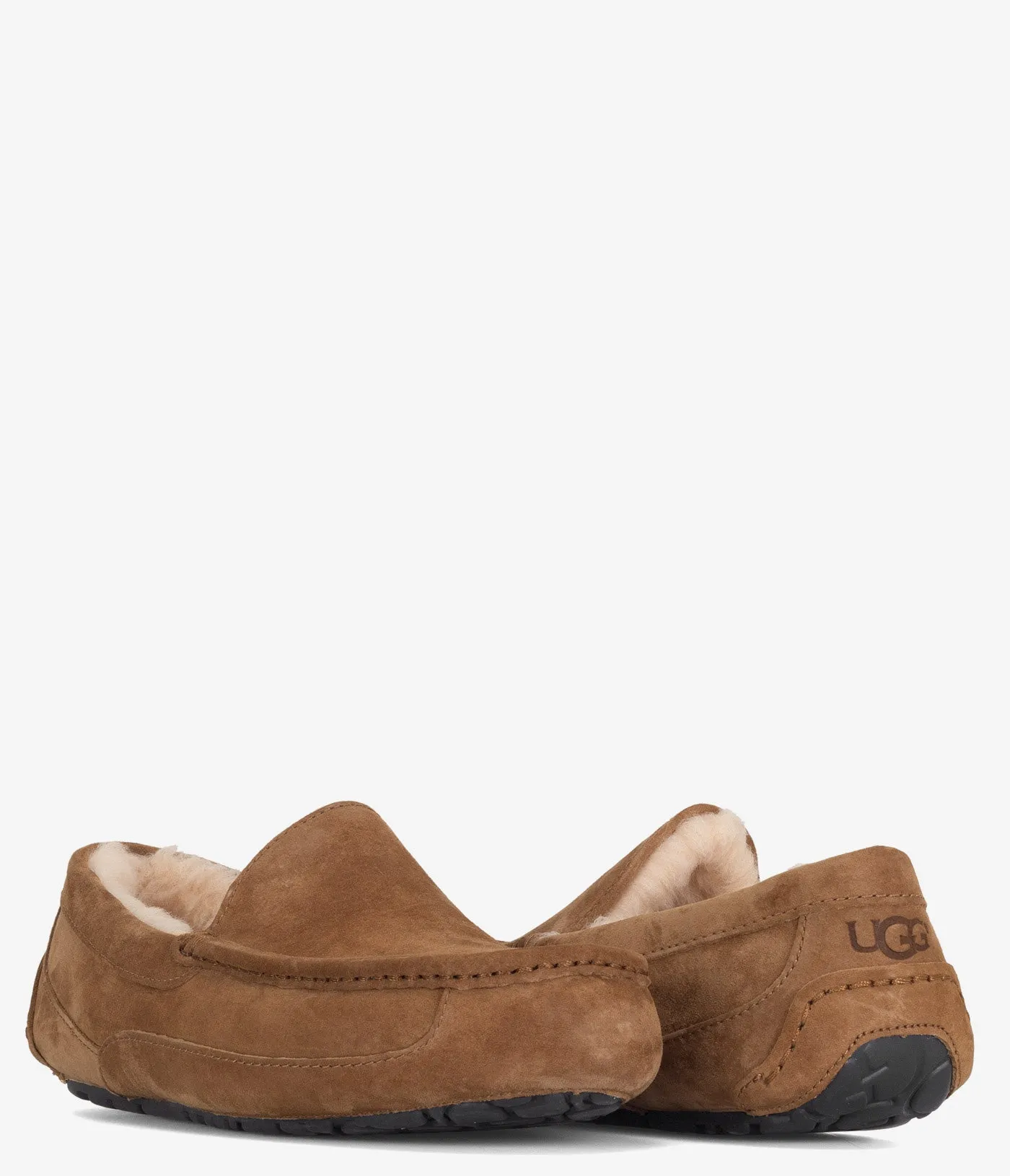 UGG Ascot Slipper - Men