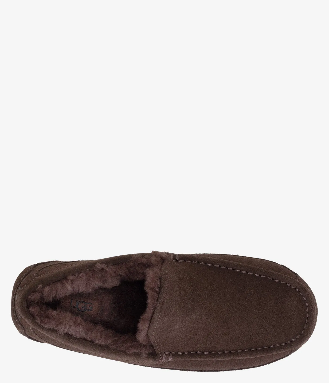 UGG Ascot Slipper - Men