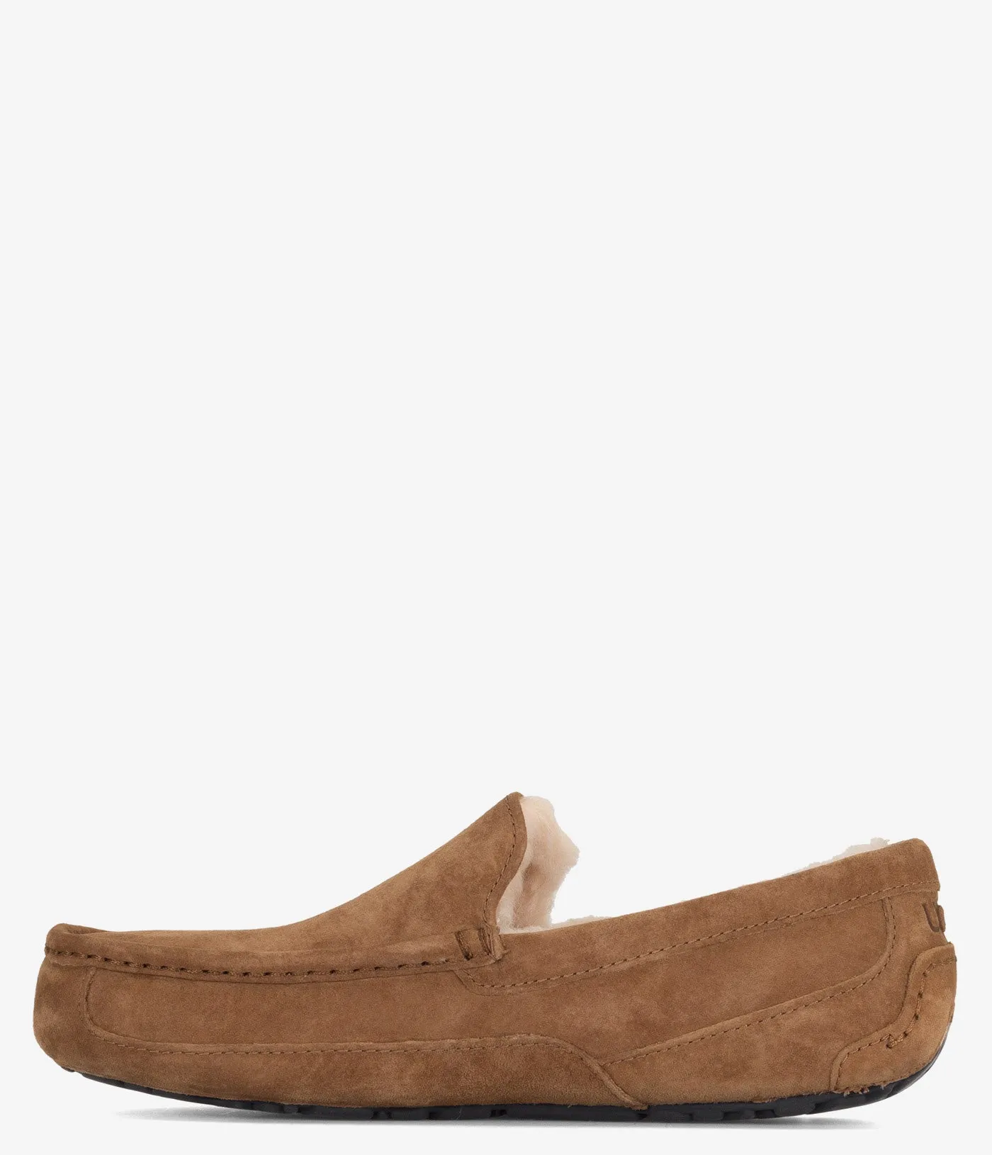 UGG Ascot Slipper - Men