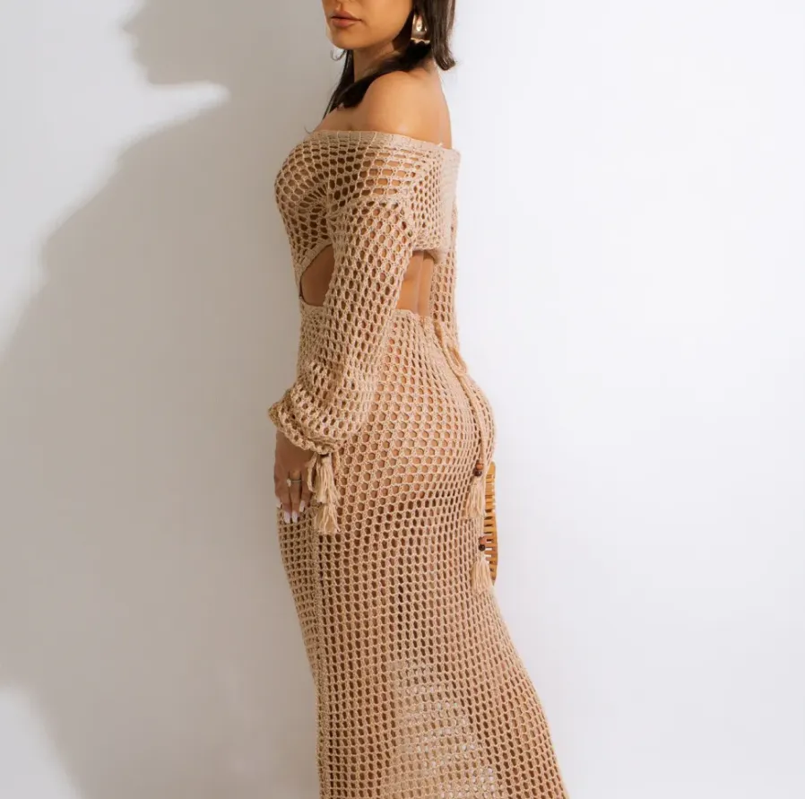 Veda Long Sleeve Crochet Cutout Sheer Maxi Dress